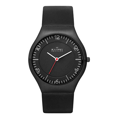 SKAGEN SKW 6113